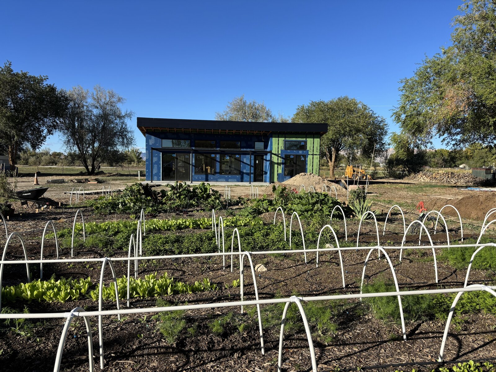 Main house seen across the microfarm beds